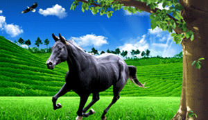 1f1cc8c66c8135a930d3cbd07ae2905b_15964227311191266.gif 1f1cc8c66c8135a930d3cbd07ae2905b_15964227311191266.gif